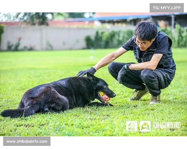 冠军车手的日常：揭秘高强度训练与饮食管理